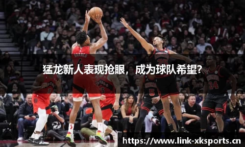 星空体育官方网站