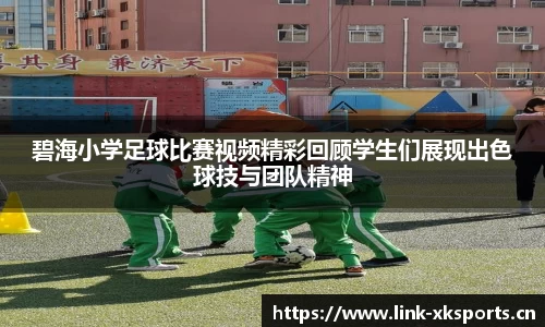 星空体育官网