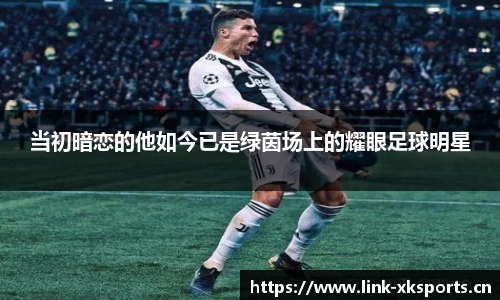 星空体育官方网站